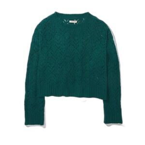 NWT AE Cropped Pointelle Crew Neck Sweater